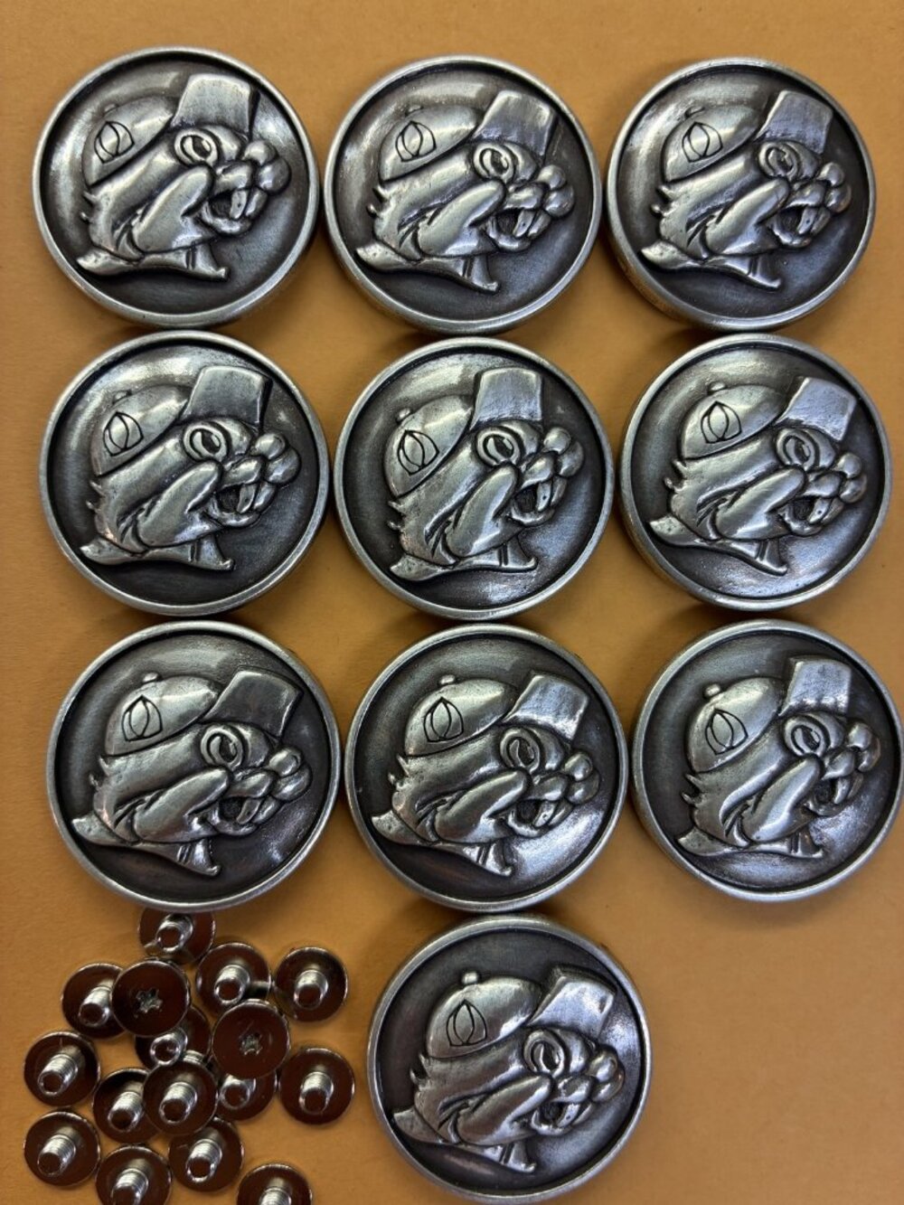 Lot of 10 Buc-ee's Beaver Conchos with Screws 1-1/8"
